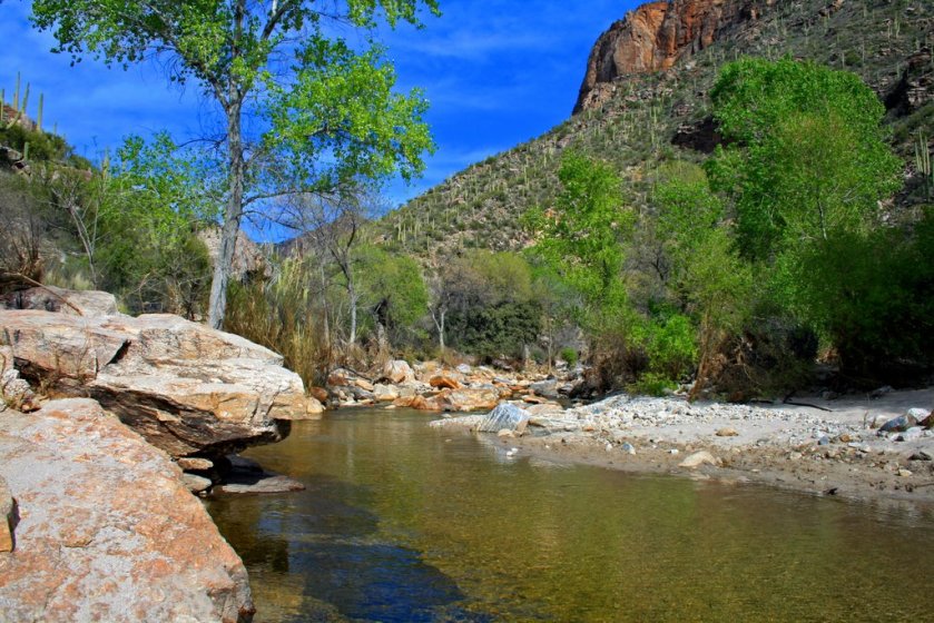 Sabino Canyon