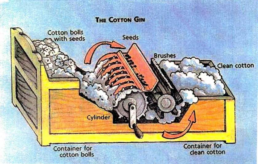 ctton gin